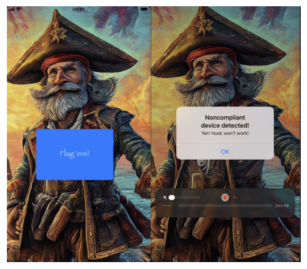 App funcionando após bypass